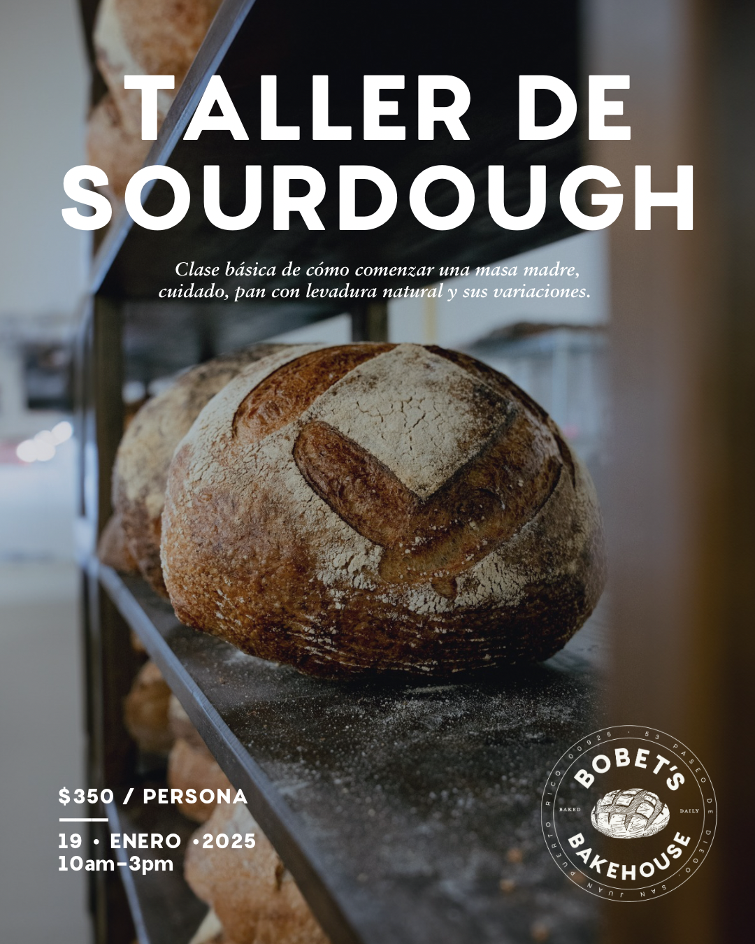 Taller: Sourdough 101